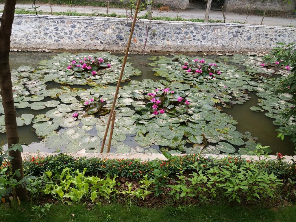 Quoc Khanh Bamboo Homestay Ниньбинь Экстерьер фото